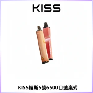 KIS5鎧斯5號一次性6500口磁吸式拋棄式電子煙#自由混搭#